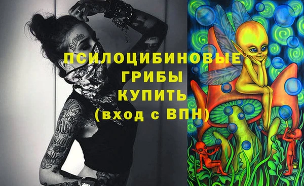 гашик Зеленокумск